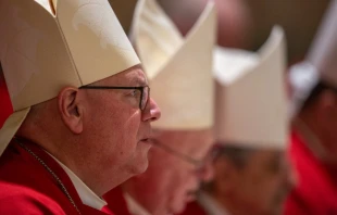 Cardinal Timothy Dolan of New York, chair of the USCCB religious liberty committee Catholic News Agency
